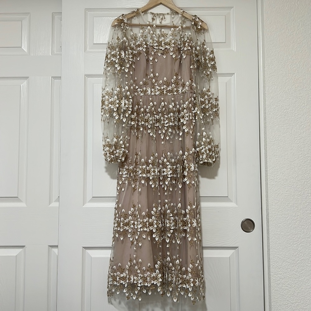 Embroidered Sheer Puffy Dress.